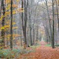 151109_09